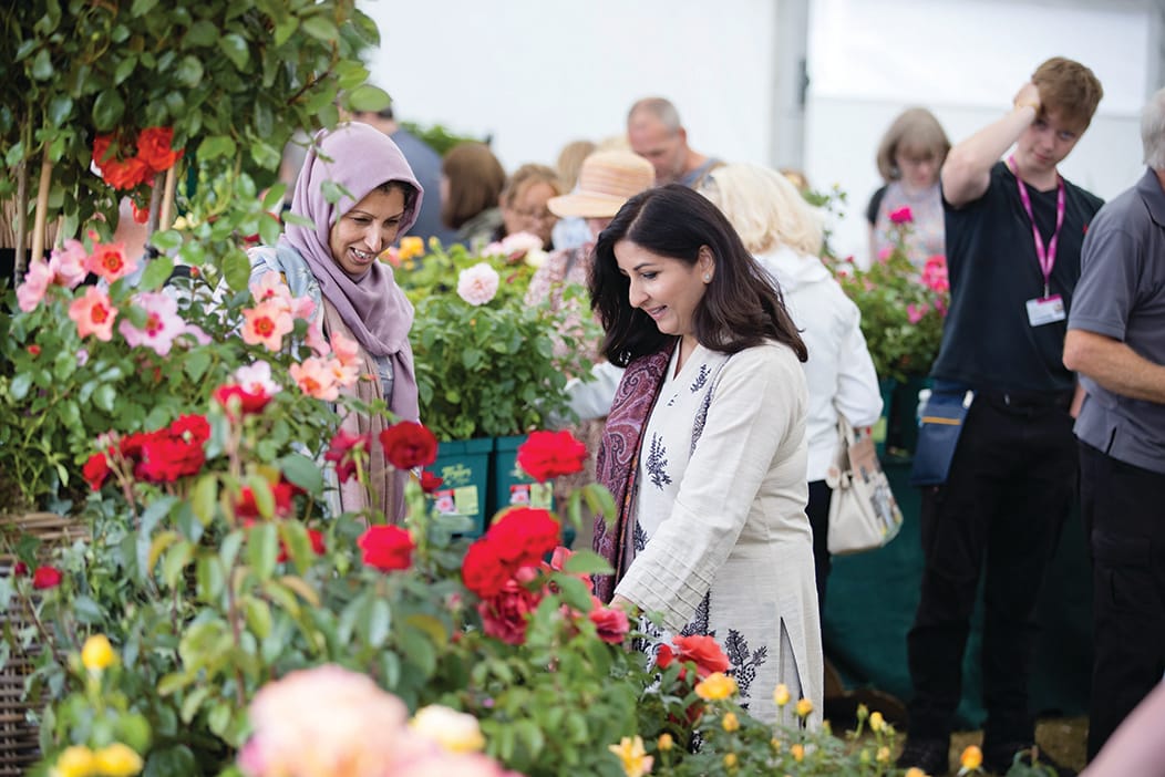 Everything you can expect to see at this week's RHS Flower Show Tatton Park as it celebrates 25th year