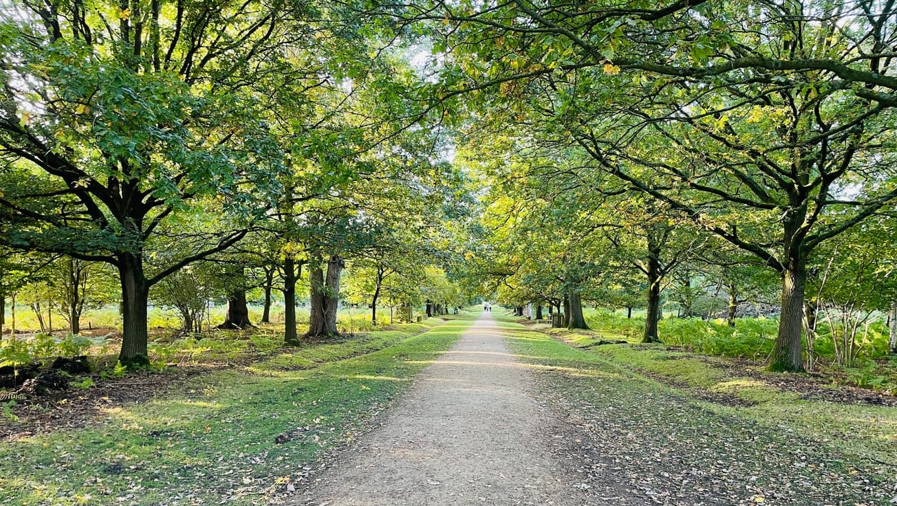 Man arrested for running naked in Dunham Massey