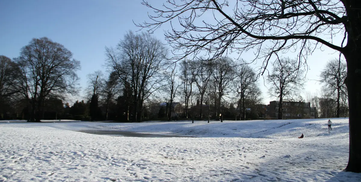 Family Five: John Leigh Park, Bumkins opening, Delamere Forest and more