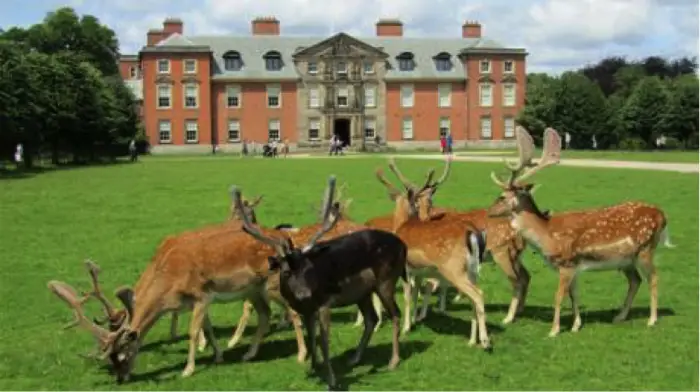 Dunham Massey is likely one of the factors that makes Altrincham an attractive suburb to live