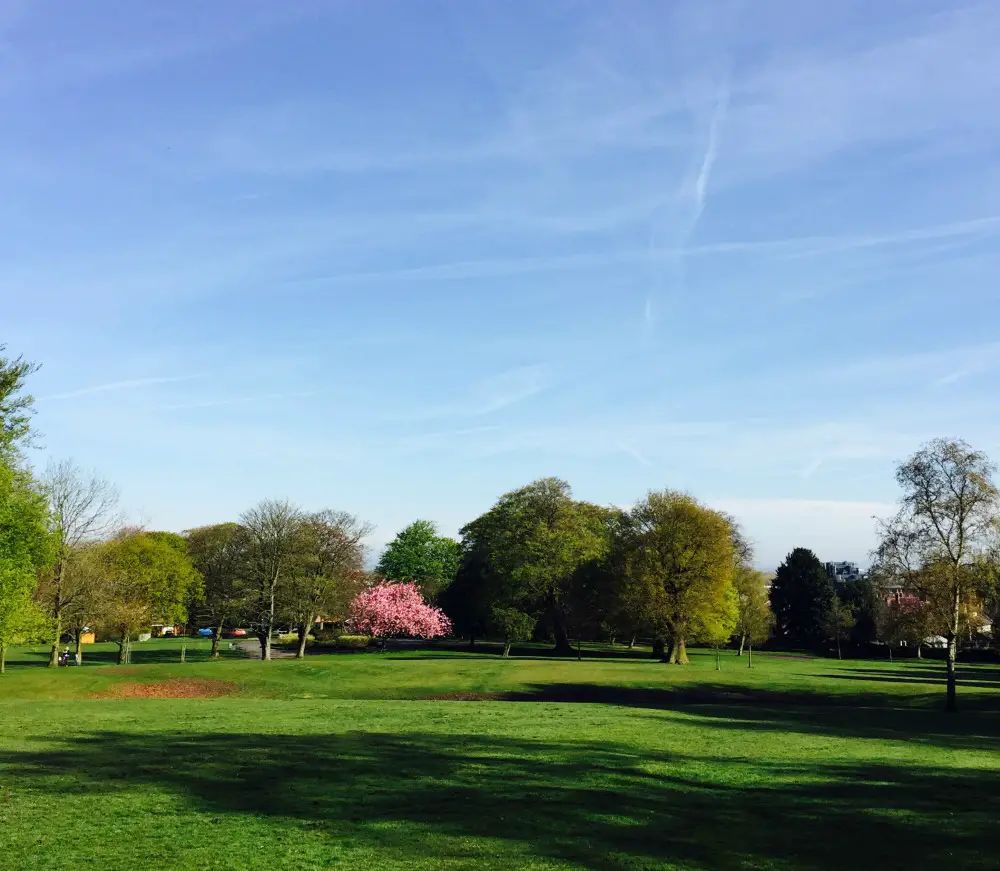 John Leigh Park basking in the sunshine today