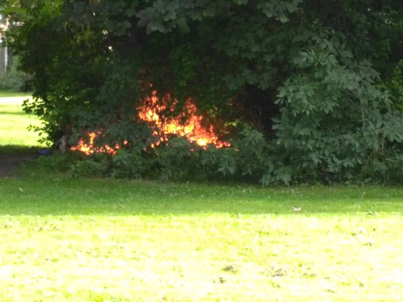The fire in Larkhill Park on Saturday